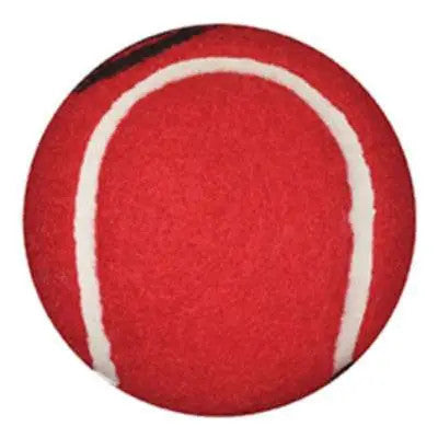 Buy Briggs Healthcare/Mabis DMI Tennis Ball Walker Glides, 1 Pair, Red  online at Mountainside Medical Equipment