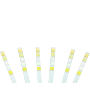 Roche Chemstrip 5 OB Urine Test Strips 100/Vial for thorough diagnostics and essential health monitoring.