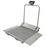 Buy Health-O-Meter Digital Fold-Up Wheelchair Dual Ramp Scale  online at Mountainside Medical Equipment