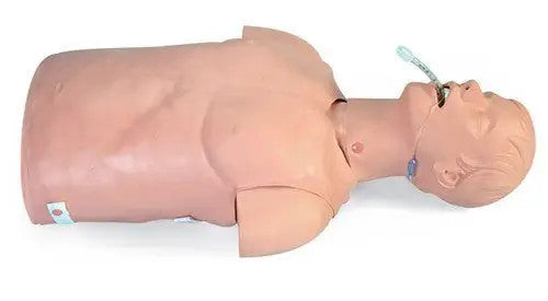 Buy Simulaids Simulaids Adult Airway Management Trainer Torso  online at Mountainside Medical Equipment