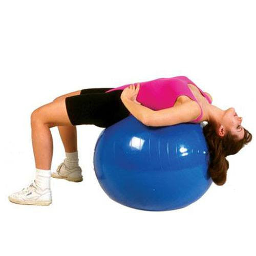 Buy Fabrication Enterprises Thera-Band Exercise Balls  online at Mountainside Medical Equipment