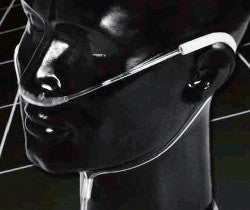 Buy Salter Labs Salter Labs 1600TLC Nasal Cannula with Ear Cushion Pads  online at Mountainside Medical Equipment