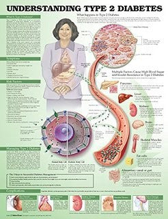 Shop for Understanding Type 2 Diabetes Poster 20 x 26 used for Diabetes Supplies