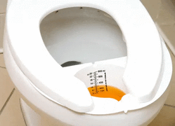 Buy Dynarex Urine & Stool Specimen Collection Pan, Nurses Hat  online at Mountainside Medical Equipment
