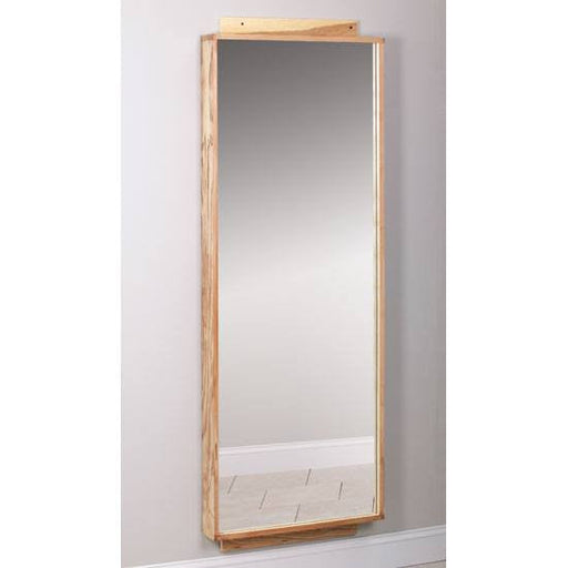 Mountainside Medical Equipment | Mirror, Physical therapy, Wall Mount Physical Therapy Mirror