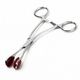 Stainless Steel Tongue Seizure Forceps
